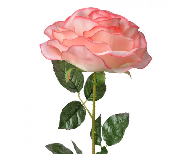 Artificial Flower Rose 75 Cm Pink Plastic - 19*19*75 cm Clayre & Eef