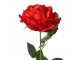 Artificial Flower Rose 75 Cm Red Plastic - 19*19*75 cm Clayre & Eef