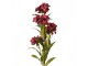 Artificial Flower 70 Cm Red Plastic - 18*10*70 cm Clayre & Eef
