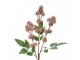 Artificial Flower 68 Cm Pink Plastic - 16*7*68 cm Clayre & Eef