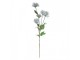 Artificial Flower 70 Cm Beige Black Plastic - 16*9*70 cm Clayre & Eef