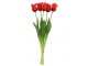 Kytice 5ks červených realistických tulipánů Tulips Papagayo - 46 cm