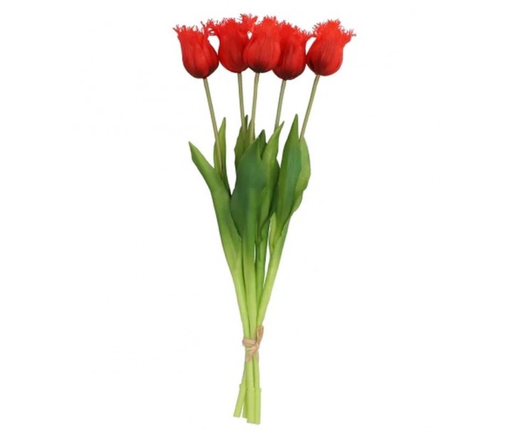 Kytice 5ks červených realistických tulipánů Tulips Papagayo - 46 cm