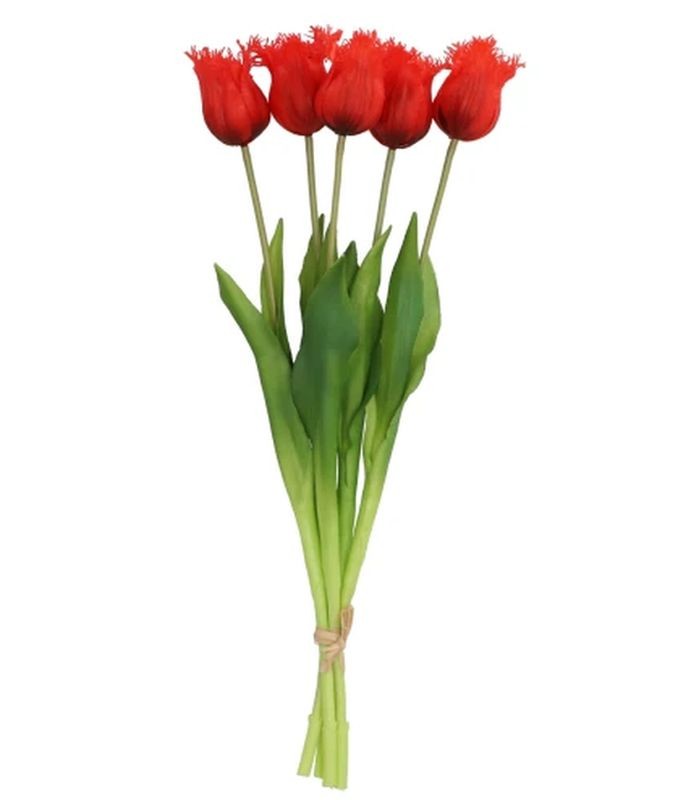 Kytice 5ks červených realistických tulipánů Tulips Papagayo - 46 cm