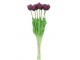 Kytice 7ks fialových realistických tulipánů Tulips - 43cm