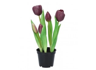 5ks fialový realistický tulipán Tulips v květináčku - 26 cm