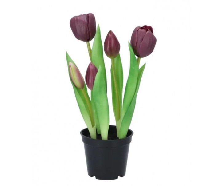 5ks fialový realistický tulipán Tulips v květináčku - 26 cm