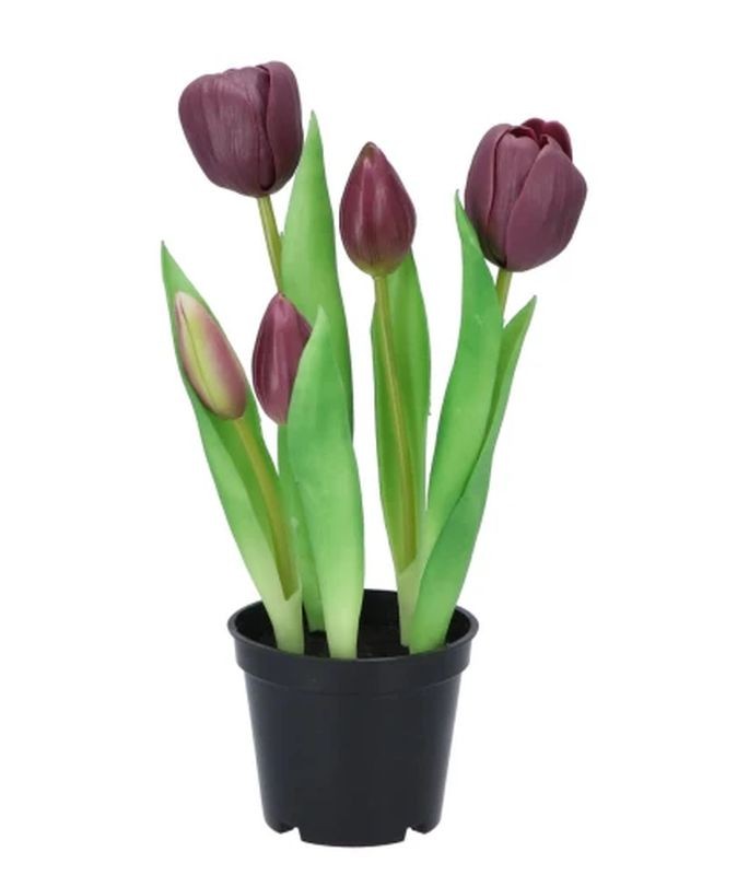 5ks fialový realistický tulipán Tulips v květináčku - 26 cm