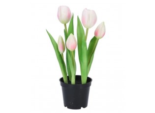 5ks růžový realistický tulipán Tulips v květináčku - 26 cm