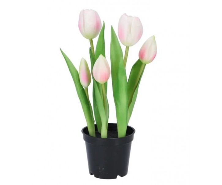 5ks růžový realistický tulipán Tulips v květináčku - 26 cm