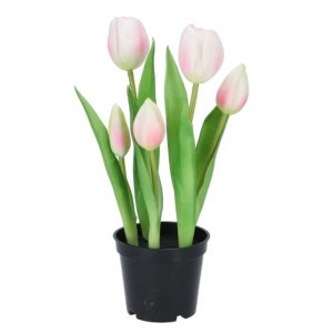 5ks růžový realistický tulipán Tulips v květináčku - 26 cm