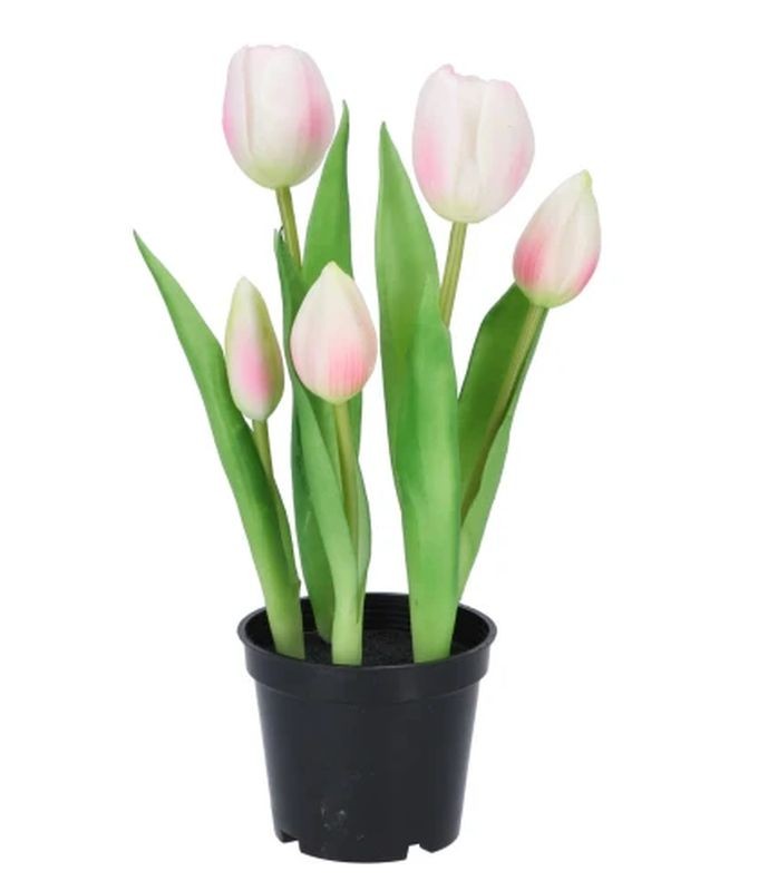 5ks růžový realistický tulipán Tulips v květináčku - 26 cm