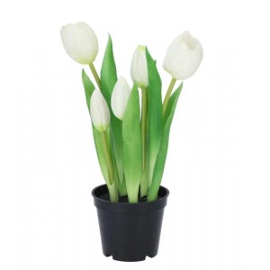 5ks bílý realistický tulipán Tulips v květináčku - 26 cm