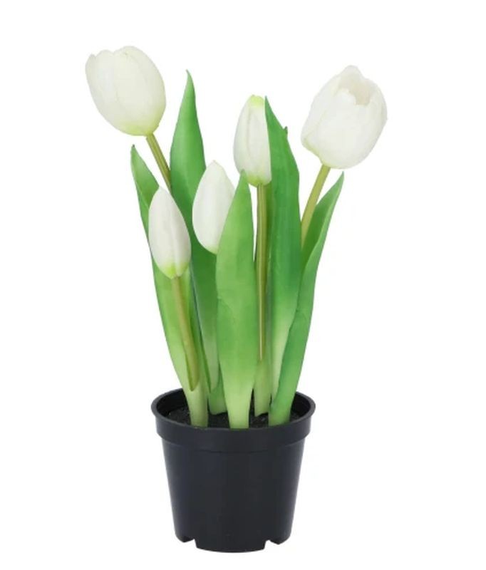 5ks bílý realistický tulipán Tulips v květináčku - 26 cm