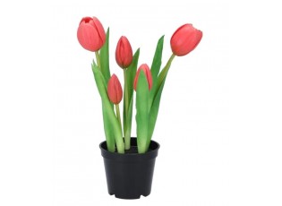 5ks tmavě růžový realistický tulipán Tulips v květináčku - 26 cm