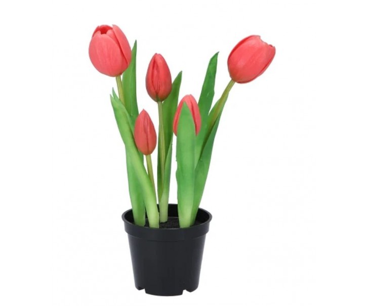 5ks tmavě růžový realistický tulipán Tulips v květináčku - 26 cm