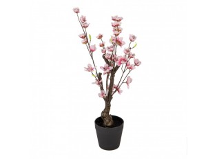 Dekorace umělý stromek třešeň s růžovými květy Cherry Blossom - 10*10*48 cm