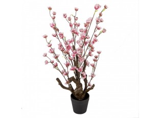 Dekorace umělý stromek třešeň s růžovými květy Cherry Blossom - 18*18*70 cm