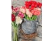 Kytice 5ks tmavě růžových realistických tulipánů Tulips Papagayo - 39 cm