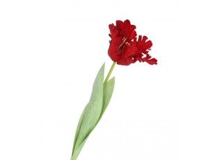 Červený tulipán Silk Tulip Red - 64 cm