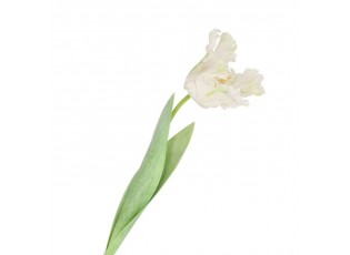 Bílý tulipán Silk Tulip White - 64 cm