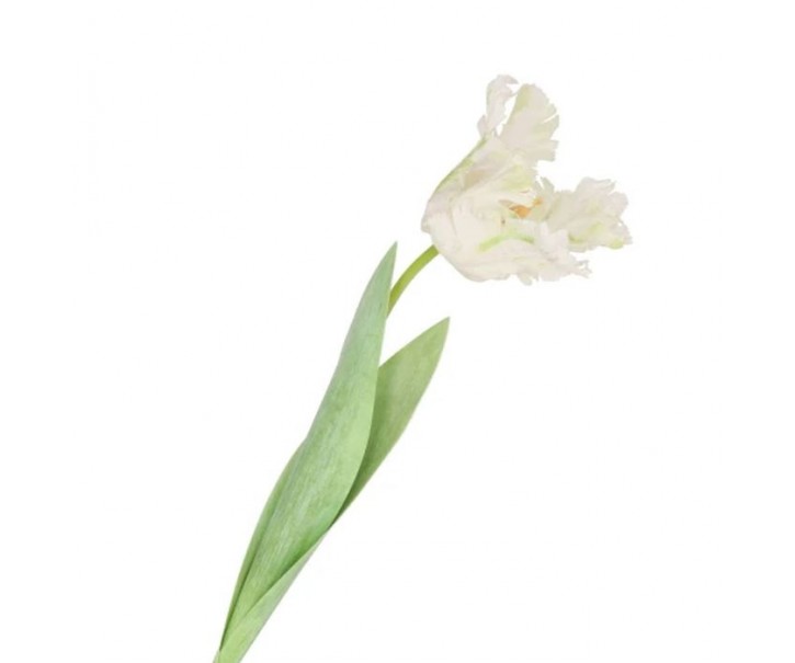 Bílý tulipán Silk Tulip White - 64 cm