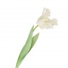 Bílý tulipán Silk Tulip White - 64 cm