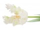 Bílý tulipán Silk Tulip White - 64 cm