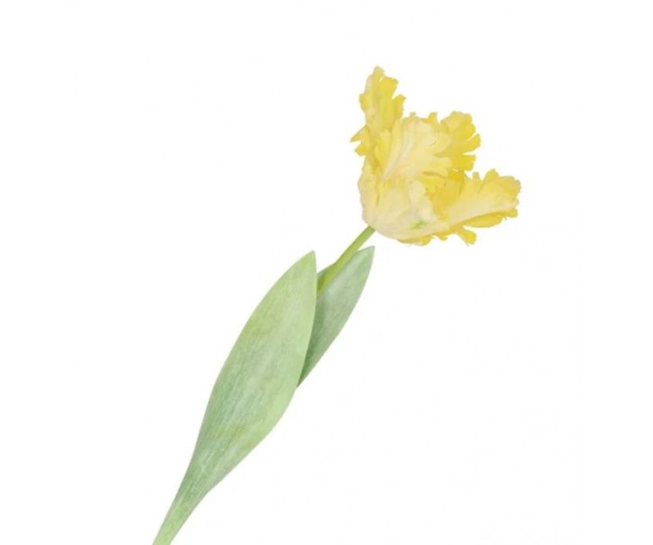 Žlutý tulipán Silk Tulip Yellow - 64 cm