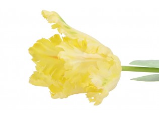 Žlutý tulipán Silk Tulip Yellow - 64 cm