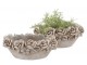 Cementový oválný květináč mísa s květy Flower Bowl - 30*19*14 cm