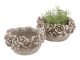 Cementový kulatý květináč mísa s květy Flower Bowl - Ø 22*12 cm