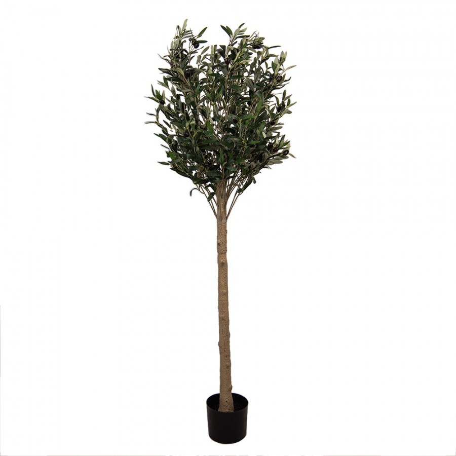 Dekorace umělý stromek olivovník s olivami Olive Tree - 50*50*165 cm