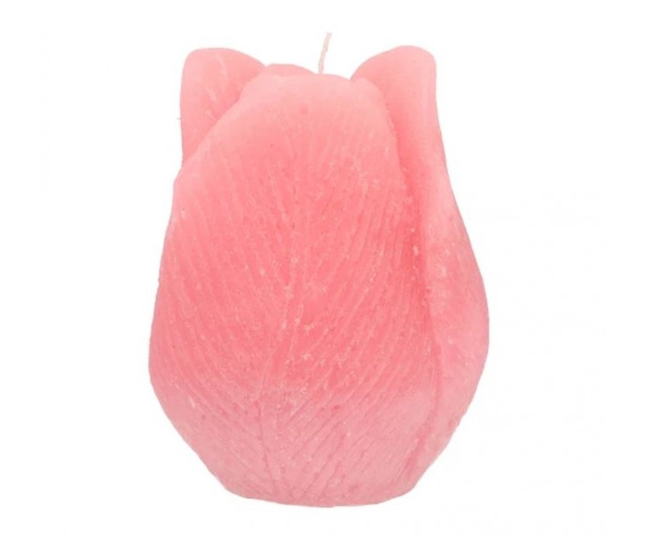 Růžová svíčka ve tvaru tulipánu Tulip Blush Pink - Ø 7*8 cm 