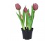 5ks světle fialový realistický tulipán Tulips v květináčku - Ø 8*7/ 26 cm