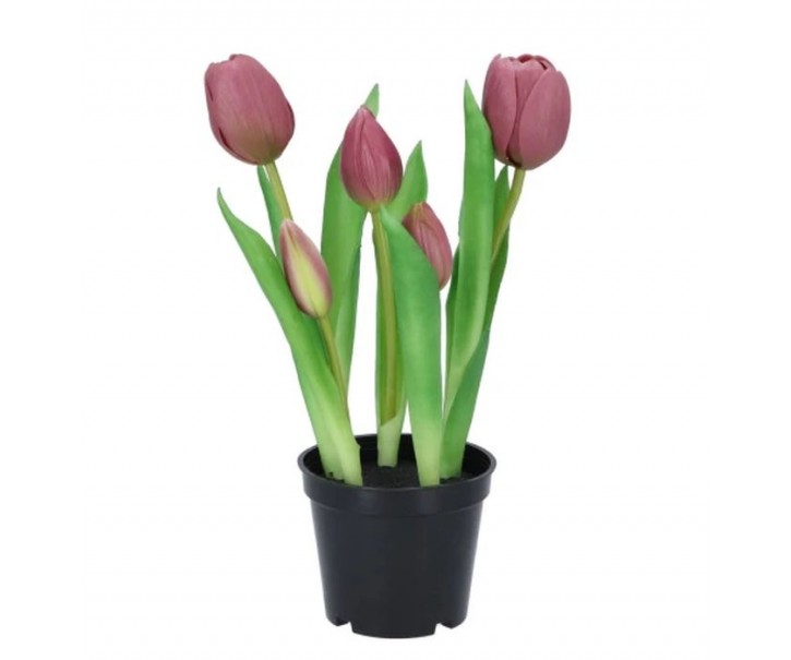 5ks světle fialový realistický tulipán Tulips v květináčku - Ø 8*7/ 26 cm