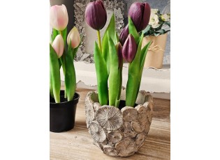 5ks fialový realistický tulipán Tulips v květináčku - 26 cm