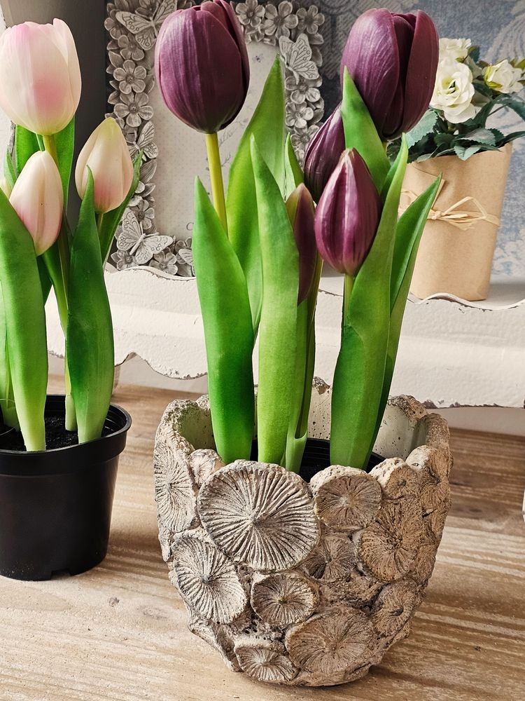 5ks fialový realistický tulipán Tulips v květináčku - 26 cm