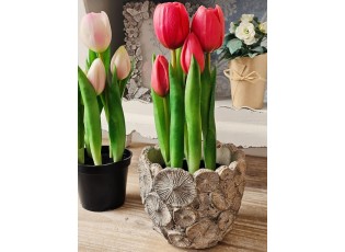 5ks tmavě růžový realistický tulipán Tulips v květináčku - 26 cm