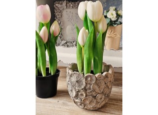 5ks bílý realistický tulipán Tulips v květináčku - 26 cm