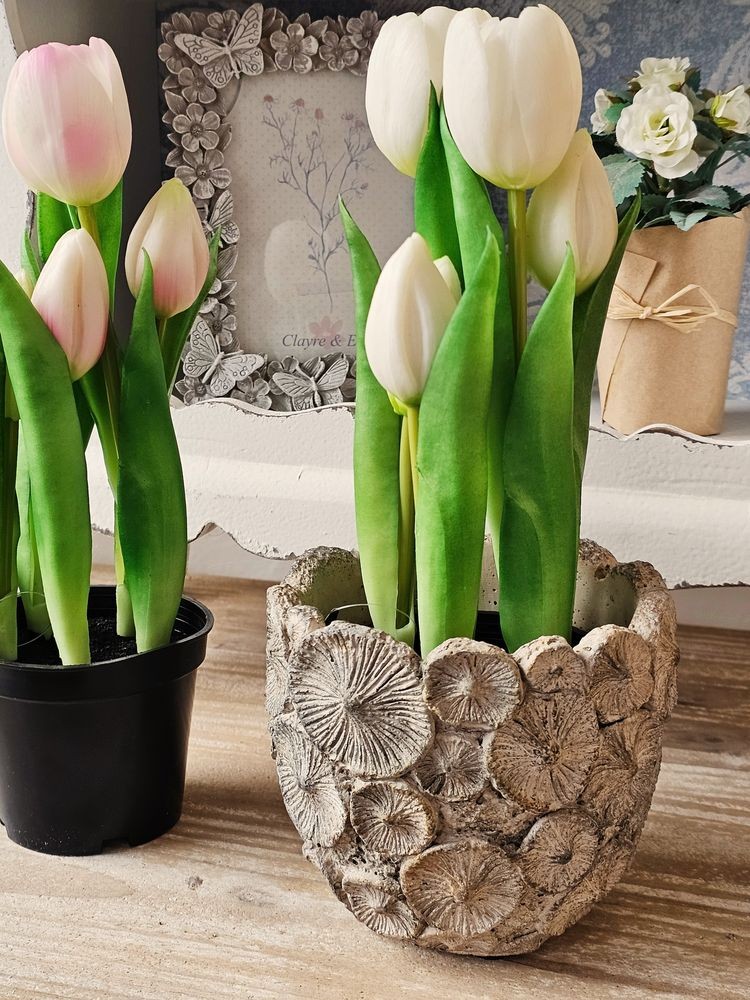 5ks bílý realistický tulipán Tulips v květináčku - 26 cm