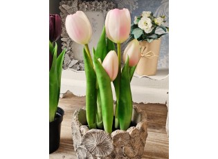 5ks růžový realistický tulipán Tulips v květináčku - 26 cm