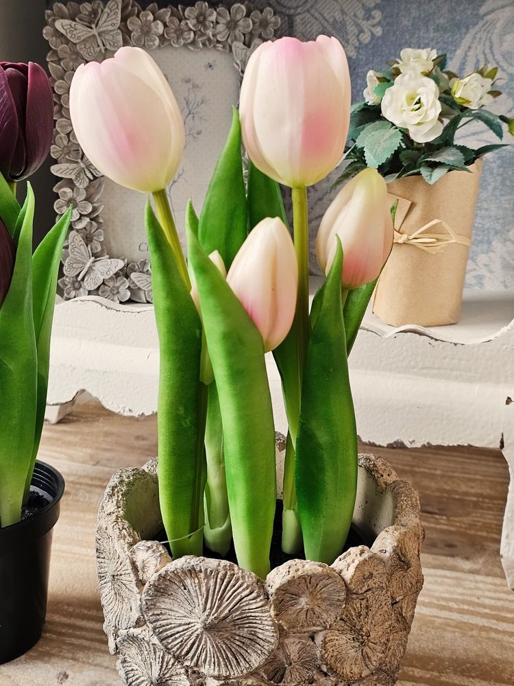5ks růžový realistický tulipán Tulips v květináčku - 26 cm