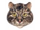 Keramický magnet halava kočka Cat - 7*7*1 cm Clayre & Eef