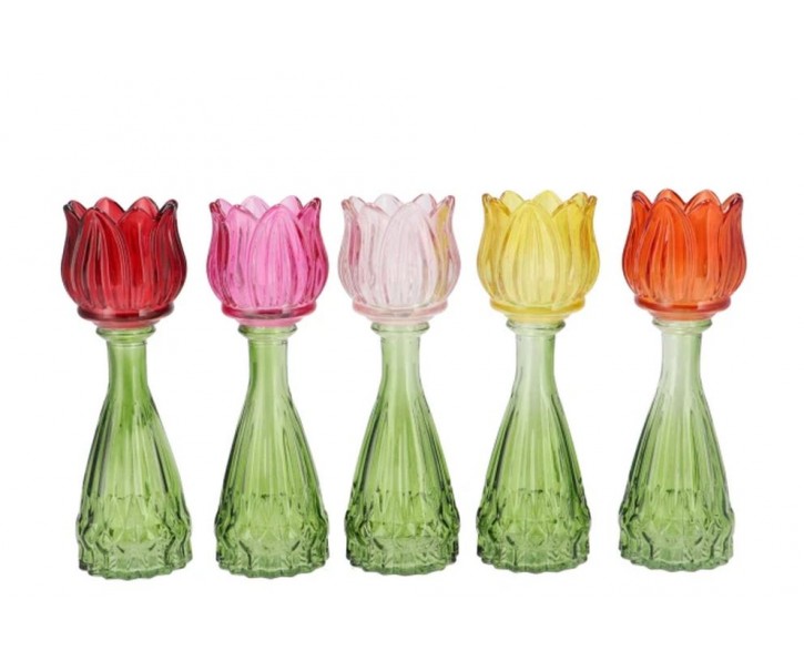 5ks barevný mix skleněný svícen/ váza tulipán Love Tulip - Ø 7*22 cm daan kromhout