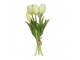 Kytice 5ks bílých realistických tulipánů Tulips - 26 cm Posiwio