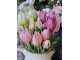 Kytice 5ks bílých realistických tulipánů Tulips - 26 cm Posiwio