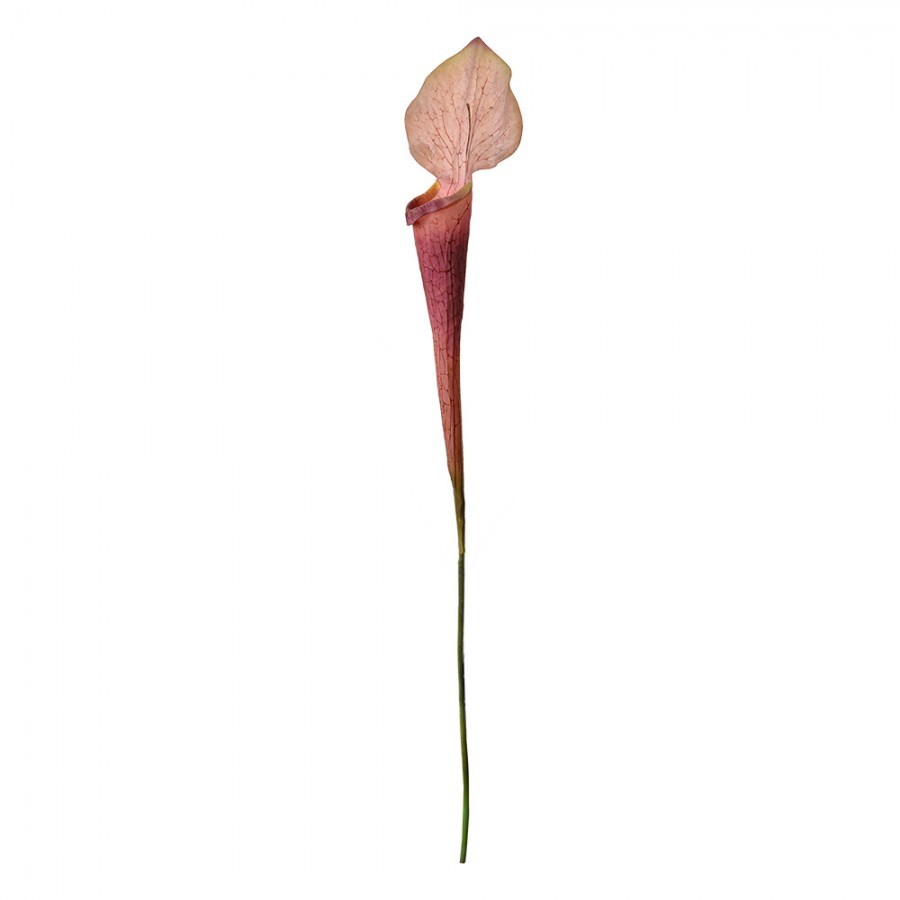 Dekorace umělá rostlina sarracenia purpurea - 6*5*75 cm