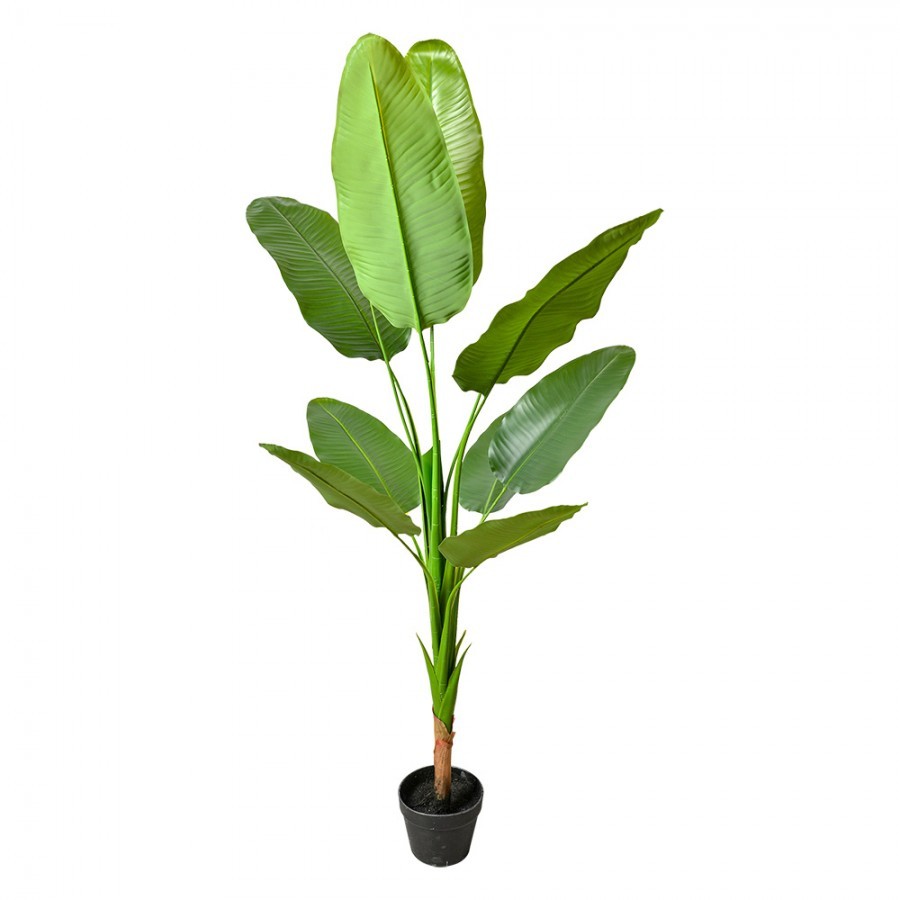 Dekorace zelená umělá rostlina strelitzia v květináči - 35*35*160 cm