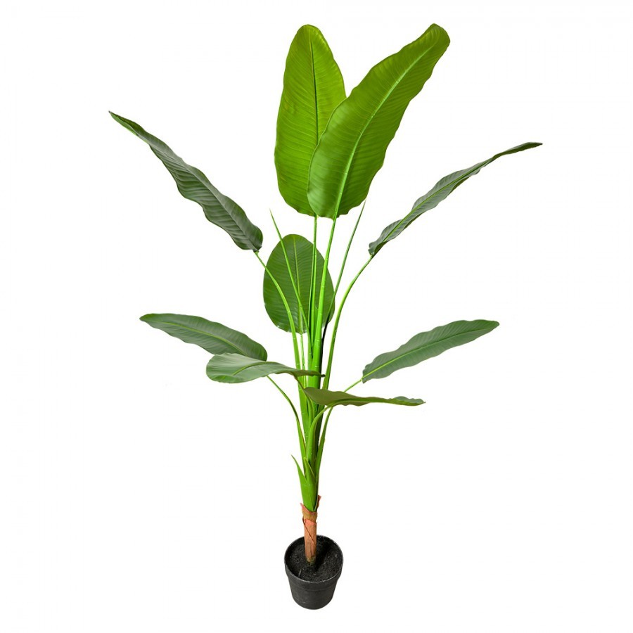 Dekorace zelená umělá rostlina strelitzia v květináči - 35*35*160 cm